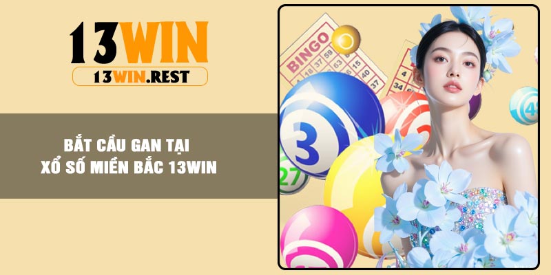 Bắt cầu gan tại xổ số miền Bắc 13Win