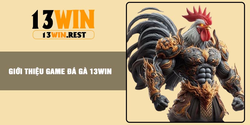 Giới thiệu game Đá Gà 13Win
