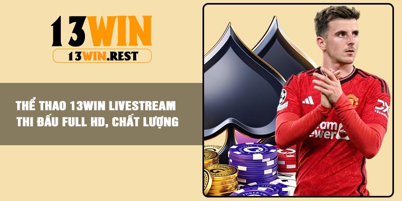 Thể Thao 13Win livestream thi đấu full HD, chất lượng